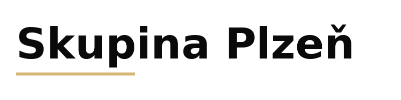 Skupina Plzeň logo